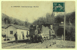 69 - T19414CPA - AMPLEPUIS - Tunnel Des Sauvages - Tete Nord - Train - Très Bon état - RHONE - Amplepuis