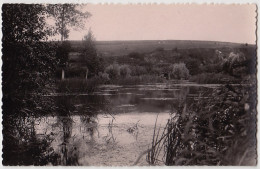 80 - B17733CPSM - BRAY SUR SOMME - Premier Etang - Très Bon état - SOMME - Bray Sur Somme