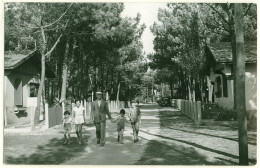 40 - L16768CPSM - BISCARROSSE - PLAGE - Rue De La Garrule - Vallat, Articles De Plage - Très Bon état - LANDES - Biscarrosse