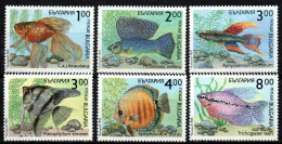 Bulgarien 1993 - Mi.Nr. 4049 - 4054 - Postfrisch MNH - Tiere Animals Fische Fishes - Fishes