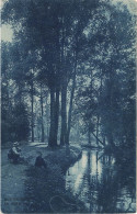 BELGIQUE - Forêt - Ruisseau - Animé - Vue Sur Une Allée Dans La Forêt - Carte Postale Ancienne - Hasselt