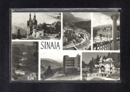 (17/04/24) ROUMANIE-CPSM SINAIA - Romania