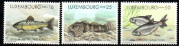 Luxemburg 1998 - Mi.Nr. 1437 - 1439 - Postfrisch MNH - Tiere Animals Fische Fishes - Fishes