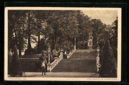 AK Freiberg / Sa., Freitreppe Im Stadtpark  - Freiberg (Sachsen)