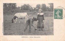 TREGUNC - Scéne Champetre -  Vache  ( Gros Plan ) - Trégunc