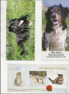 CARTES NEUVES - Chiens