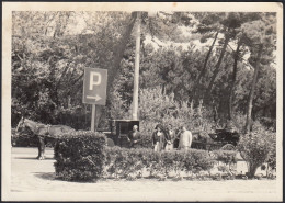 Tirrenia 1950 - Foto Marcello - Carrozze Nel Parcheggio - Foto D'epoca - Lugares