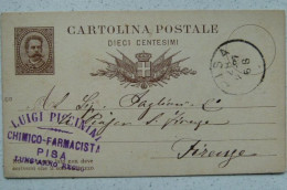 PISA - LUIGI PICCININI CHIMICO FARMACISTA LUNGARNO REGIO - TIMBRO SU CARTOLINA POSTALE 1886 - 138 ANNI! - Pisa