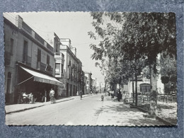 Avenida Del Caudillo - Sonstige & Ohne Zuordnung