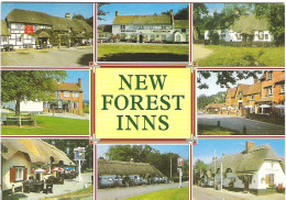 NEW FOREST INNS, HAMPSHIRE. UNUSED POSTCARD M9 - Sonstige & Ohne Zuordnung