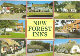 NEW FOREST INNS, HAMPSHIRE. UNUSED POSTCARD M9 - Other & Unclassified
