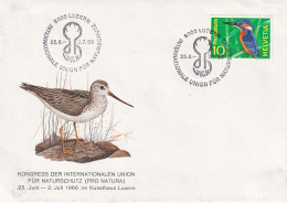 Luzern Kongress Der Internationalen Union Fur Naturschutz Pro Natura 1966 Oiseaux - Covers & Documents