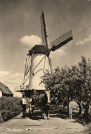 Hollandse Molen * Moulin à Vent Molen * Holland Hollande Nederlands Pays Bas - Andere & Zonder Classificatie