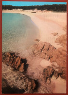 Arcipelago Di La Maddalena - Isola Budelli - La Spiaggia Rosa - 1981 (c646) - Sassari