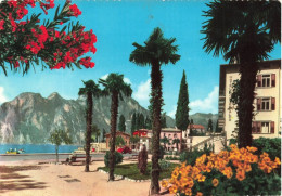 ITALIE - Vue Sur Le Lac De Garda - Torbole - Vue - La Mer - Animé - Voiture - Bateau - Carte Postale Ancienne - Trento