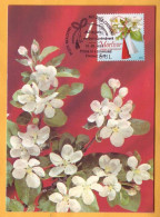 2016 Moldova Moldavie Moldau Maxicard National Holiday Of Spring. Martisor. Snowdrop - Moldavia