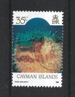 Cayman Islands 1986 Marine Life Y.T. 591 (0) - Caimán (Islas)