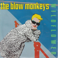 THE BLOW MONKEYS - Wildflower - Autres - Musique Anglaise