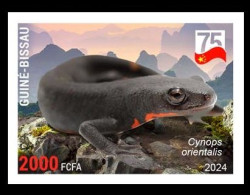 GUINEA BISSAU 2024 IMPERF STAMP 1V - CHINA AMPHIBIANS & REPTILES - CHINESE FIRE BELLY NEWT TRITON - CHINA 75 ANNIV - MNH - Altri & Non Classificati