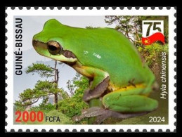 GUINEA BISSAU 2024 STAMP 1V - CHINA AMPHIBIANS & REPTILES - CHINESE TREE FROG FROGS GRENOUILLES - CHINA 75 ANNIV. - MNH - Kikkers