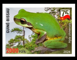 GUINEA BISSAU 2024 IMPERF STAMP 1V - AMPHIBIANS & REPTILES - CHINESE TREE FROG FROGS GRENOUILLES - CHINA 75 ANNIV. - MNH - Kikkers