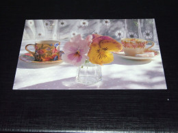 74543a-STEPHEN HENDER(1998)  TEACUPS AND FLOWERS - FLOWERS / BLUMEN / FLEURS / FLORES - Fleurs