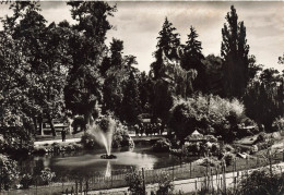 FRANCE - Vichy - Dans Les Grands Parcs - Le Bassin Des Cygnes - Carte Postale - Vichy