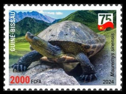 GUINEA BISSAU 2024 STAMP - CHINA AMPHIBIANS & REPTILES - CHINESE STRIPE-NECKED TURTLE TURTLES - CHINA 75 ANNIV. - MNH - Turtles