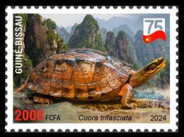 GUINEA BISSAU 2024 STAMP 1V - CHINA AMPHIBIANS & REPTILES - GOLDEN COIN TURTLE TURTLES TORTUES - CHINA 75 ANNIV. - MNH - Tartarughe