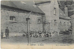 Bièvre - La Meute - 1912 - Bievre