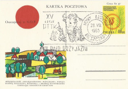 Poland Postmark D65.08.28 NOWY LUPKOW.04: Tourism Rally Bison PTTK - Ganzsachen