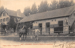 77-CHAUMES- HARAS DE CRENILLE VUE GENERALE - Autres & Non Classés