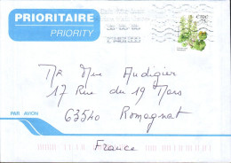 IRLANDE SEUL SUR LETTRE POUR LA FRANCE - Lettres & Documents