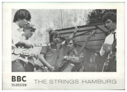Y28746/ The Strings Aus Hamburg Beat- Popgruppe Autogrammkarte 60er Jahre - Sänger Und Musikanten