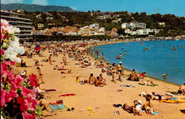 LE LAVANDOU     ( VAR )   LA PLAGE - Vieux Port, Saint Victor, Le Panier