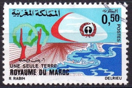 MAROC 1972 Y&T N° 641 Oblitéré Used - Maroc (1956-...)