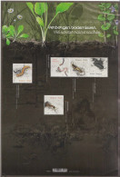 2023 Belgium Soil Insects Beetles,ants,worms LARGE M/sheet Of 5 MNH @ BELOW FV * Wrinkle To Top Edge Stamps OK* - Neufs