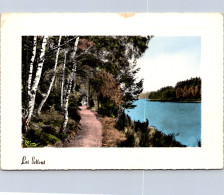 17-4-2024 (2 Z 18) France (colorised) Forêt Des Settons - Trees