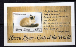Sierra Leone - 1993 - Cats Of The World: Seal-point Colourpoint - Yv Bf 216 - Chats Domestiques