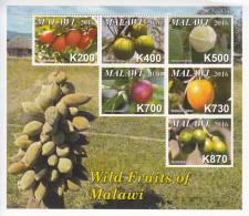 2016 Malawi Wild Fruits Trees  Souvenir Sheet  MNH *small Crease Top Right Corner Stamps OK** - Malawi (1964-...)