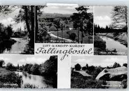 50771004 - Fallingbostel - Fallingbostel