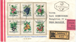 Reko Express Salzburg 1966 > Hallein - Obst Erdbeere Traube Apfel Brombeere Marille Kirsche - Cartas & Documentos