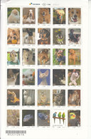 2018 Brazil Pets Dogs Chiens Cats Chats UPAEP Miniature Sheet Of 30 MNH *tear To Top Left Corne Stamps OK * - Ongebruikt