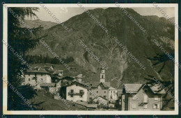 Sondrio Primolo Foto Cartolina QQ7713 - Sondrio