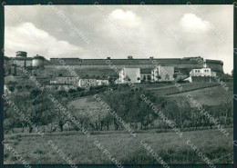 Pisa Volterra PIEGHINA Foto FG Cartolina ZKM8170 - Pisa