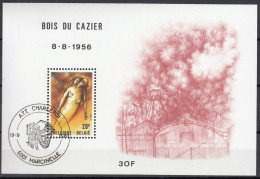 BELGIEN Block 51, Gestempelt, 25. Jahrestag Der Bergwerkskatastrophe Im „Bois Du Cazier“, Marcinelle 1981 - 1961-2001