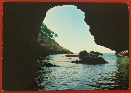 PROMONTORIO DEL GARGANO - Litorale Vieste-Mattinata - La Grotta Di Pugnochiuso - 1982 (c653) - Foggia