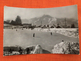 Villars La Patinoire Et Les Dents Du Midi Circulee No.293 - Villars-Chesières