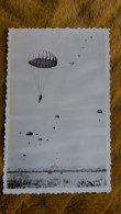 PHOTO AVION LARGUANT DES PARACHUTES PARACHUTISME  FORMAT 13.5 PAR 8.5 CM - Aviation