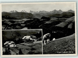 10218104 - Oberei Wasen Im Emmental - Kühe